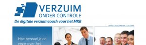 Verzuimondercontrole
